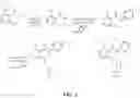 Fig. 03 - HISTONE ACETYLTRANSFERASE (HAT) REGULATORS AND USES THEREOF