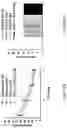 Fig. 13 - HISTONE ACETYLTRANSFERASE (HAT) REGULATORS AND USES THEREOF