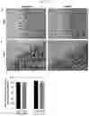 Fig. 08 - TRIPLE COMBINATION FORMULATION FOR TREATMENT OF CHRONIC PAIN