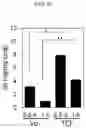 Fig. 11 - TRIPLE COMBINATION FORMULATION FOR TREATMENT OF CHRONIC PAIN