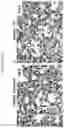 Fig. 13 - TRIPLE COMBINATION FORMULATION FOR TREATMENT OF CHRONIC PAIN