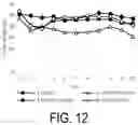 Fig. 13 - LEVODOPA DERIVATIVE AND USE THEREOF