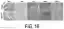 Fig. 17 - LEVODOPA DERIVATIVE AND USE THEREOF