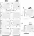 Fig. 01 - COMPOSITIONS AND METHODS FOR TREATING ISCHEMIC STROKE