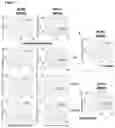 Fig. 02 - COMPOSITIONS AND METHODS FOR TREATING ISCHEMIC STROKE