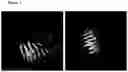 Fig. 04 - COMPOSITIONS AND METHODS FOR TREATING ISCHEMIC STROKE