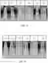 Fig. 09 - Preparation method for liposome having ability to stably encapsulate active ingredient