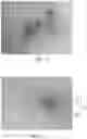 Fig. 10 - Preparation method for liposome having ability to stably encapsulate active ingredient