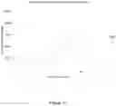 Fig. 04 - Methods of increasing magnesium bioavailability and absorption