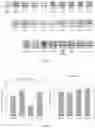 Fig. 05 - SMALL MOLECULE ANTAGONIST TO PACAP RECEPTOR AND USES THEREOF