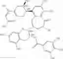 Fig. 20 - METHODS FOR TREATING CONGENITAL DISORDERS OF GLYCOSYLATION