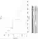 Fig. 02 - THIAZOLIDE COMPOUNDS FOR TREATING VIRAL INFECTIONS