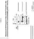 Fig. 09 - THIAZOLIDE COMPOUNDS FOR TREATING VIRAL INFECTIONS