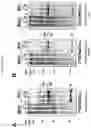 Fig. 14 - THIAZOLIDE COMPOUNDS FOR TREATING VIRAL INFECTIONS