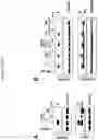 Fig. 16 - THIAZOLIDE COMPOUNDS FOR TREATING VIRAL INFECTIONS
