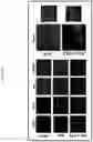 Fig. 17 - THIAZOLIDE COMPOUNDS FOR TREATING VIRAL INFECTIONS