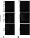 Fig. 20 - THIAZOLIDE COMPOUNDS FOR TREATING VIRAL INFECTIONS