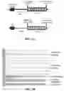 Fig. 14 - Compositions and methods for treating traumatic brain injury
