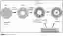 Fig. 02 - Compositions and methods of using nintedanib for treating ocular diseases with abnormal neovascularization