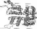 Fig. 01 - METHODS AND COMPOUNDS FOR INHIBITION OF INACTIVATION OF VOLTAGE-GATED SODIUM CHANNELS