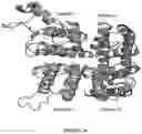 Fig. 02 - METHODS AND COMPOUNDS FOR INHIBITION OF INACTIVATION OF VOLTAGE-GATED SODIUM CHANNELS