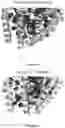 Fig. 04 - METHODS AND COMPOUNDS FOR INHIBITION OF INACTIVATION OF VOLTAGE-GATED SODIUM CHANNELS