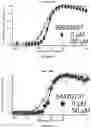 Fig. 17 - METHODS AND COMPOUNDS FOR INHIBITION OF INACTIVATION OF VOLTAGE-GATED SODIUM CHANNELS