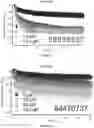 Fig. 24 - METHODS AND COMPOUNDS FOR INHIBITION OF INACTIVATION OF VOLTAGE-GATED SODIUM CHANNELS