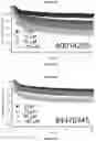 Fig. 25 - METHODS AND COMPOUNDS FOR INHIBITION OF INACTIVATION OF VOLTAGE-GATED SODIUM CHANNELS