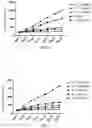 Fig. 02 - Multi-target kinase inhibitor, pharmaceutical composition, and preparation method for multi-target kinase inhibitor and use thereof