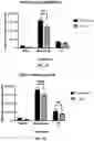 Fig. 09 - Biologically active ganoderma lucidum compounds and synthesis of anticancer derivatives; ergosterol peroxide probes for cellular localization