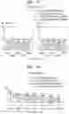 Fig. 04 - INJECTABLE COMPOSITION FOR INDUCING LIPOLYSIS AND METHOD USING THE SAME