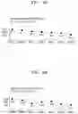 Fig. 05 - INJECTABLE COMPOSITION FOR INDUCING LIPOLYSIS AND METHOD USING THE SAME