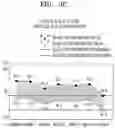 Fig. 06 - INJECTABLE COMPOSITION FOR INDUCING LIPOLYSIS AND METHOD USING THE SAME