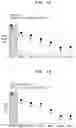 Fig. 07 - INJECTABLE COMPOSITION FOR INDUCING LIPOLYSIS AND METHOD USING THE SAME