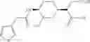 Fig. 121 - Therapeutic uses of pharmaceutical compositions comprising cyclic boronic acid ester derivatives