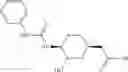 Fig. 161 - Therapeutic uses of pharmaceutical compositions comprising cyclic boronic acid ester derivatives