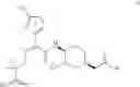 Fig. 56 - Therapeutic uses of pharmaceutical compositions comprising cyclic boronic acid ester derivatives