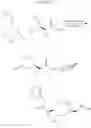 Fig. 84 - Therapeutic uses of pharmaceutical compositions comprising cyclic boronic acid ester derivatives