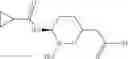 Fig. 93 - Therapeutic uses of pharmaceutical compositions comprising cyclic boronic acid ester derivatives