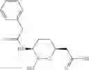 Fig. 95 - Therapeutic uses of pharmaceutical compositions comprising cyclic boronic acid ester derivatives