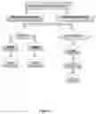 Fig. 02 - Synergistic bioactive compositions for enhancing cellular energy