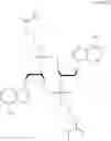 Fig. 28 - Cyclic dinucleotide prodrug molecule, preparation method therefor and application thereof