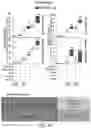 Fig. 05 - Treatment methods for fibrosis targeting SMOC2