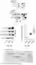 Fig. 07 - Treatment methods for fibrosis targeting SMOC2