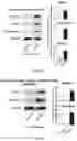 Fig. 14 - Treatment methods for fibrosis targeting SMOC2