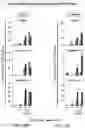 Fig. 16 - Treatment methods for fibrosis targeting SMOC2