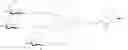 Fig. 118 - EXTRAHEPATIC DELIVERY