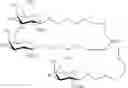 Fig. 73 - EXTRAHEPATIC DELIVERY