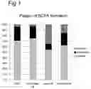 Fig. 02 - Synergism of GOS and polyfructose